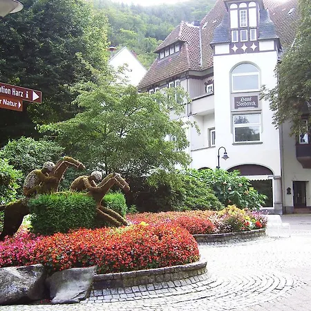 Harzburger Daire